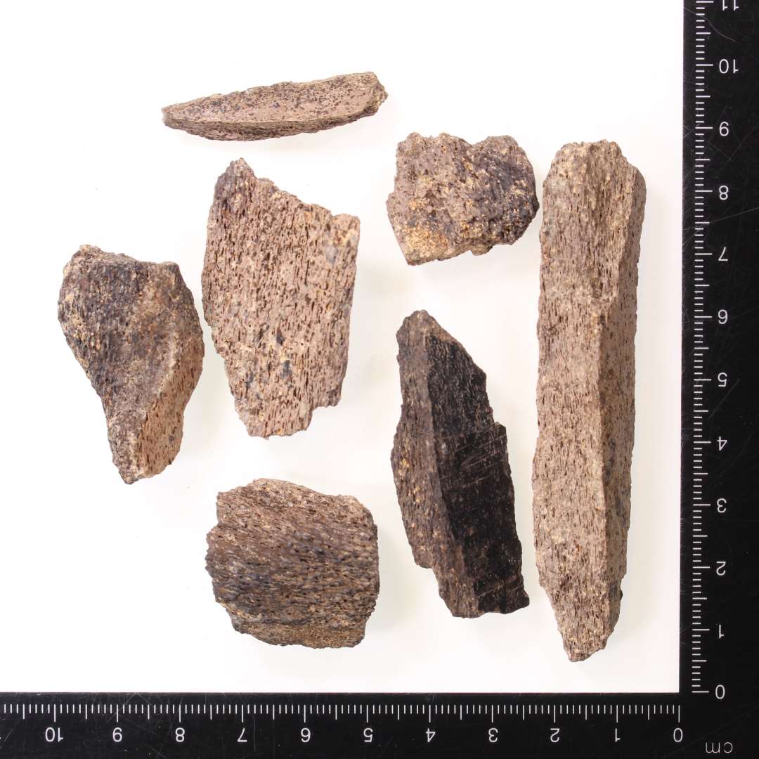 Fragmenter af hvalplade, bl.a. med udskåret dyrehoved med nakkedel. På to sammenhængende fragmetner ses runer