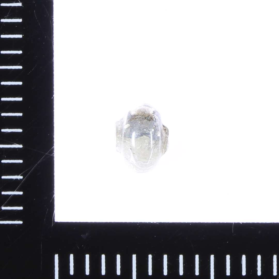 Halv, Halv-gennemsigtig hvidlig grundmasse med klart dækglas med delvist folie. 1 segment, meget lille.