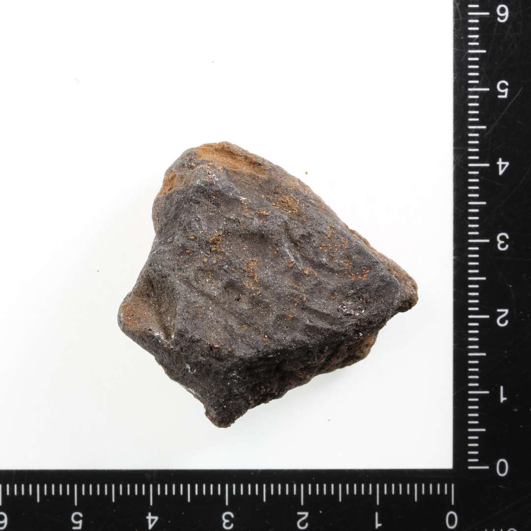 Fragment af støbeform. Aftryk af skålformet spænde, P12. Sort