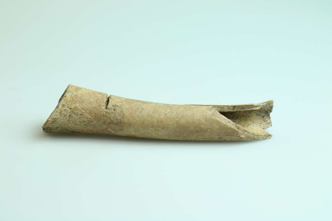 Marvspaltet knogle med spor efter kniv. Længde ca. 10,5 cm.