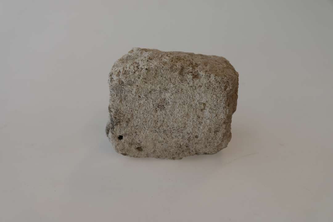 Fragment af bygningssten i bryozokalk.  Mål: ca. 8 x 7,5 x 6 cm.