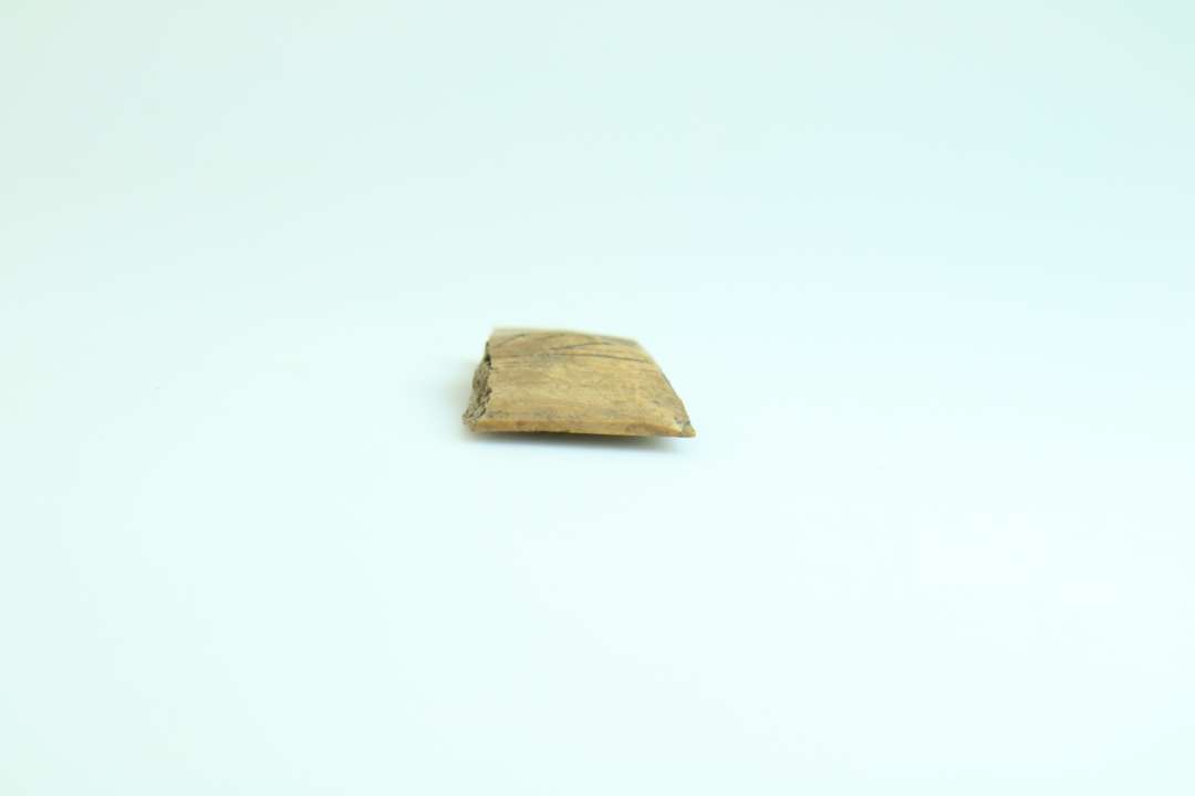 Fragment af mislykket usammensat dobbeltkam.  Længde ca. 5 cm.