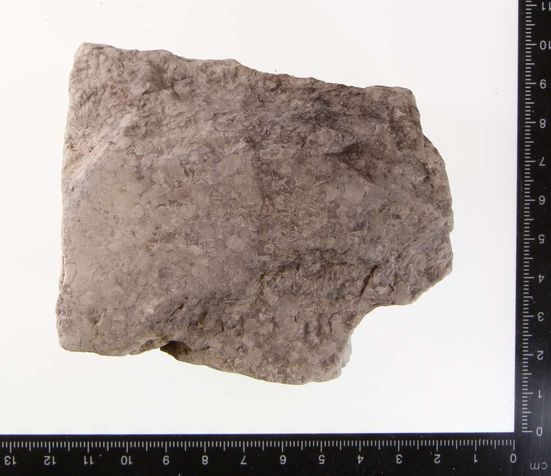 Fragment af morter af Purbeck marble.