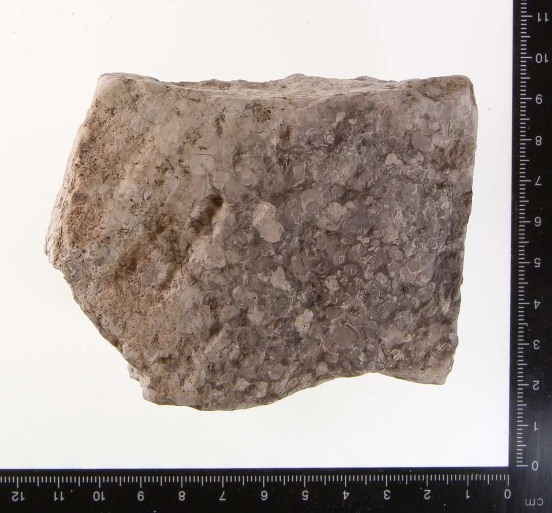 Fragment af morter af Purbeck marble.