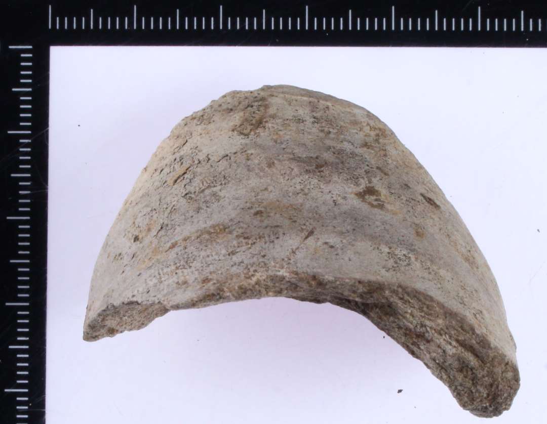 Kraftigt sideskår af pingsdorf. Diameter kun 4 cm. Mulig skår fra skulder på lille amfora eller særform (fragment af lyrestage?)