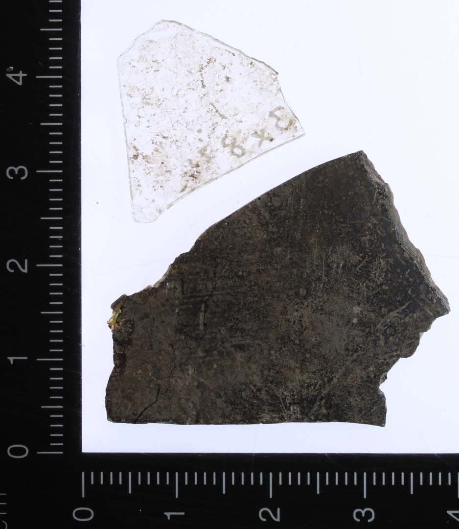 Ét fragment af klart meget tyndt glas og et af ca. 0,2 cm tykt glas, der er angrebet af glaspest.