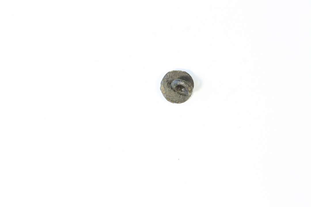 Lille cirkulær knap ( ø: 11 mm) med centralt motiv (kløverblad?). På bagsiden påsyningsøsken.