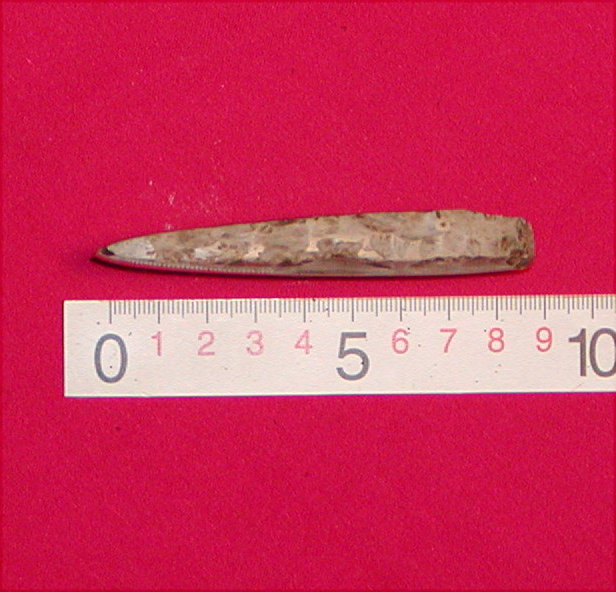  Mål. Længde:9,1 cm Ægbredde:3,5 cm