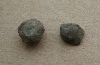 Nærmest rund kugle, ca. 1 cm diameter. En anden kugle med 'støbegrat', ca. 8 mm diameter.