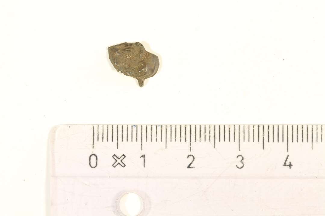 Lille sølvsmelte, l: 1 cm.