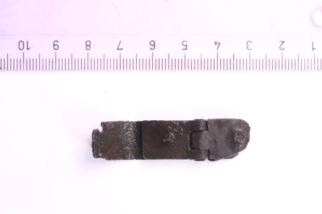 Remblik af bronze til bogspænde? Med isiddende nittehuller. Længde: 5,1 c., bredde: 1,3 cm.

Bolt-Jørgensen 2019: Hængselled