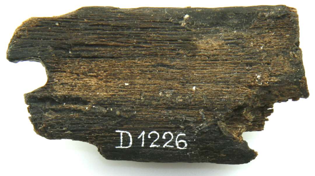Fragment af aflang, fladt tildannet træstykke, afbrudt i begge ender. Tæt ved randen af den ene ende findes en delvis bevaret gennemboring på ca. 0,7 cm. i diameter. Største længde: 6,5 cm. Største bredde: 3,5 cm. Største tykkelse: 1 cm.