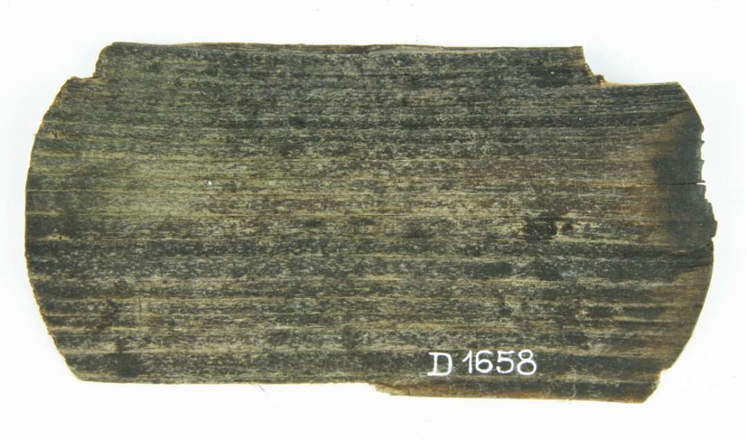 Fragment af stavbæger bund. I form af ca. 0,3 cm. tyk plade af grov arret fyrretræ, oprindelig cirkulær, men ved brud i træets længderetning mangler der nu to cirkelkalotter, således at den totale bredde er 5,7 cm. længde 10.4 cm.