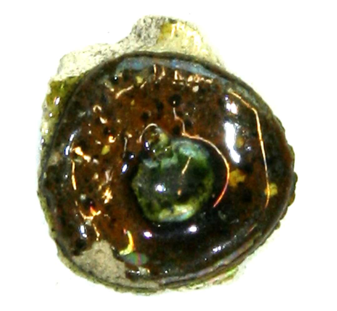 Bugskår af grålig hårdtbrændt stentøjsagtigt gods i form af pålagt øjeknop, der fremtræder dækket af brunlig glasur, medens en pålagt pupilknop er dækket af grøn blyglasur.