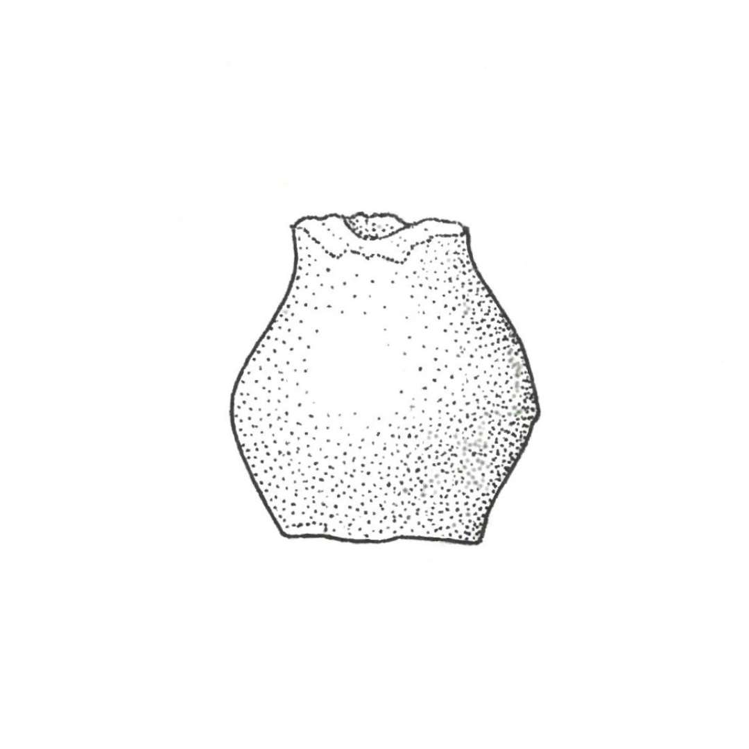 Rangle af hvidbrændt pibelersmasse overtrukken med sølvglansagtig blyglasur. Ranglen har form som en miniaturekrukke med plan standflade, stejlt opadstigende bugparti, afrundet skulder og jævnt indadskrånende halsparti. Ranglens mundingsrand afbrudt. Ranglens kugler er af uglaseret pibelersmasse. Nuværende total højde:  1,9 cm., største bredde:              :  1,7 cm., fodrandens diameter: 1,2 cm. 