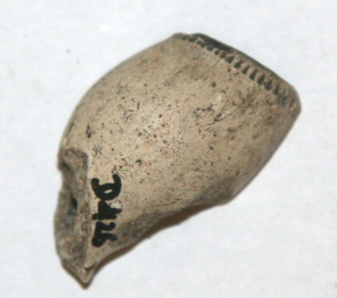 Fragment af kridtpubehoved. Med rillebort langs åbningen.