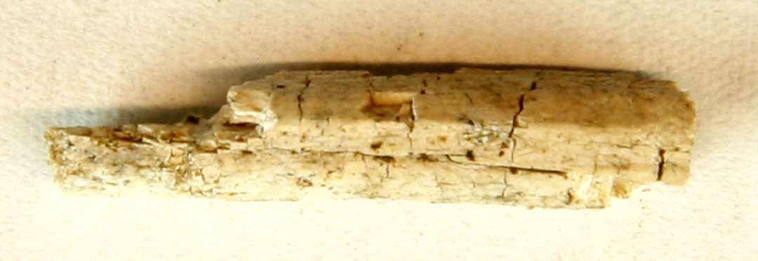 1 fragmenteret, stangformet ildskørnet benstump med spor af facetteret tildannelse på den ene bevarede sidekant. L: 2,35 cm. Br: 0,55. Tyk: 0,5 cm.