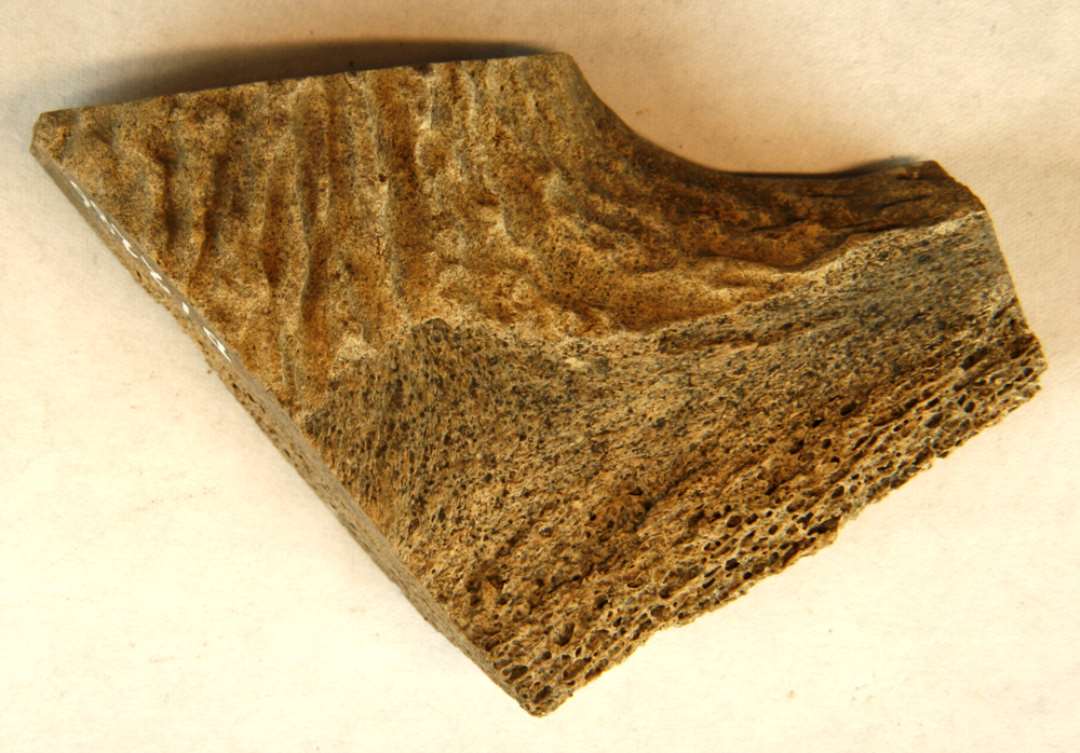1 forsavet og udspaltet fragment af grenkløftparti fra kronhjortetak. Mål: 8,2 cm.