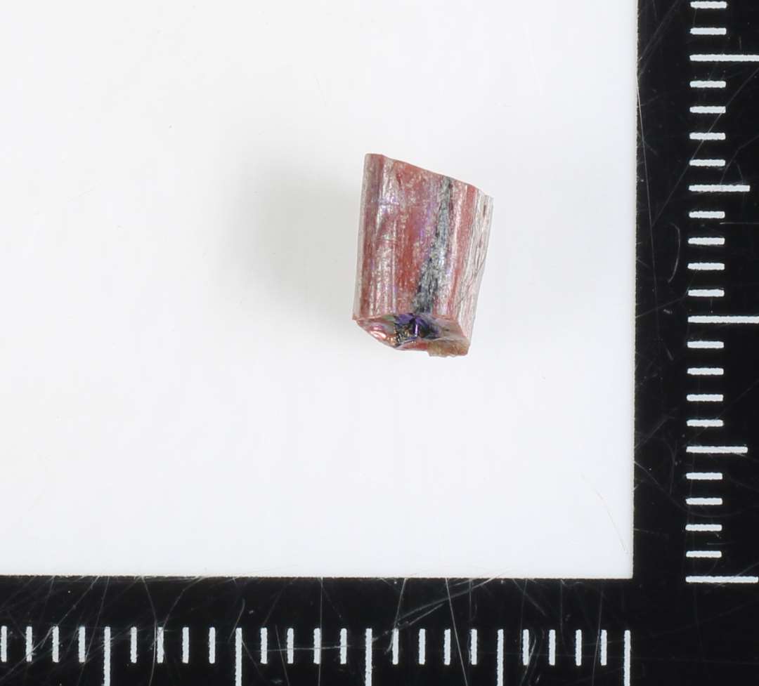 1 fragment af glasstang af afrundet kvadratisk tværsnitsform af rødbrunlig ugennemsigtig glasmasse med en forgrenet midteråre af mørkt, ugennemsigtigt glas.