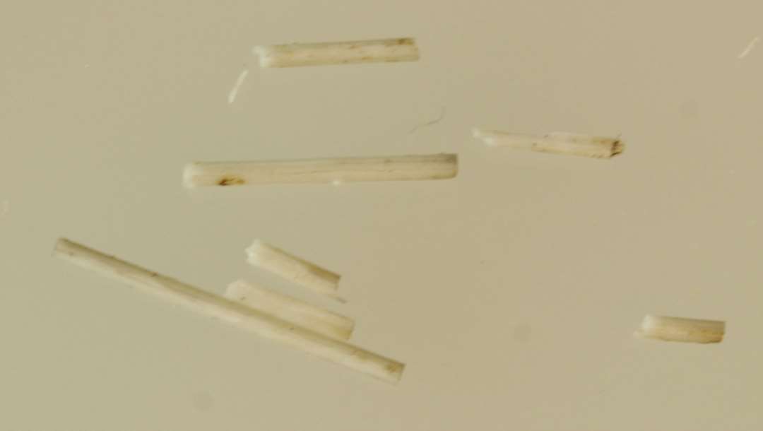 3 stoppenålstykke trådfragmenter af hvidlig ugennemsigtig glasmasse.