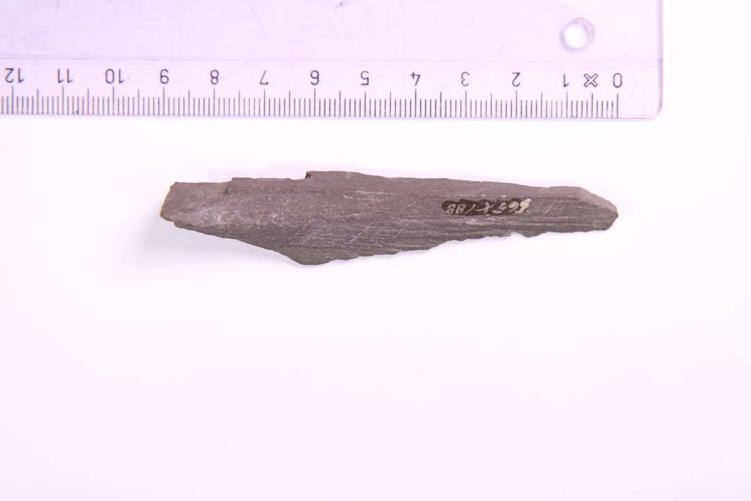 Fragment af violet/mørkegrå hvæssesten. Største mål: 9 cm.