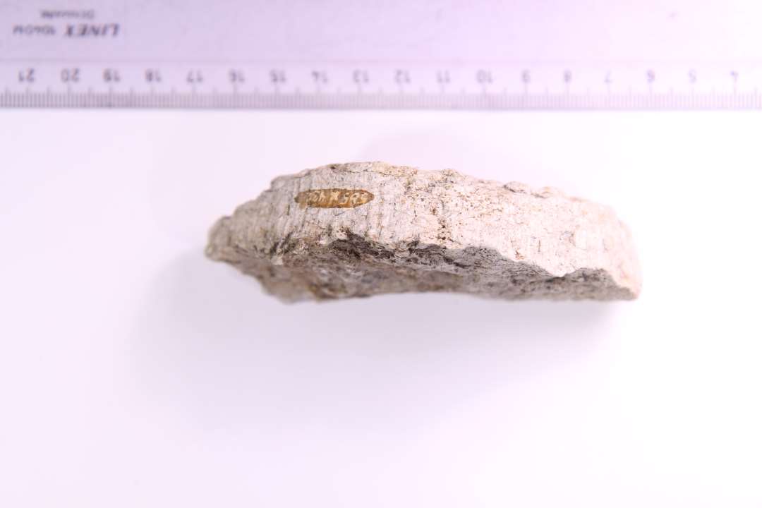 Fragment af søjle skaft? diameter: 10,5 cm.