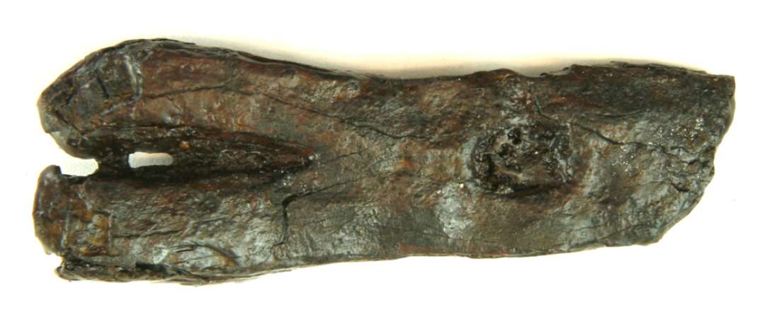 fragmenteret, fladt stykke jern. L : ca. 8,0 cm. Br : 2,2-2,8 cm. Tyk. ca. 0,6 - 0,85 cm med en ca. 3 cm. lang spaltning i den ene ende. Beslag/hængsel