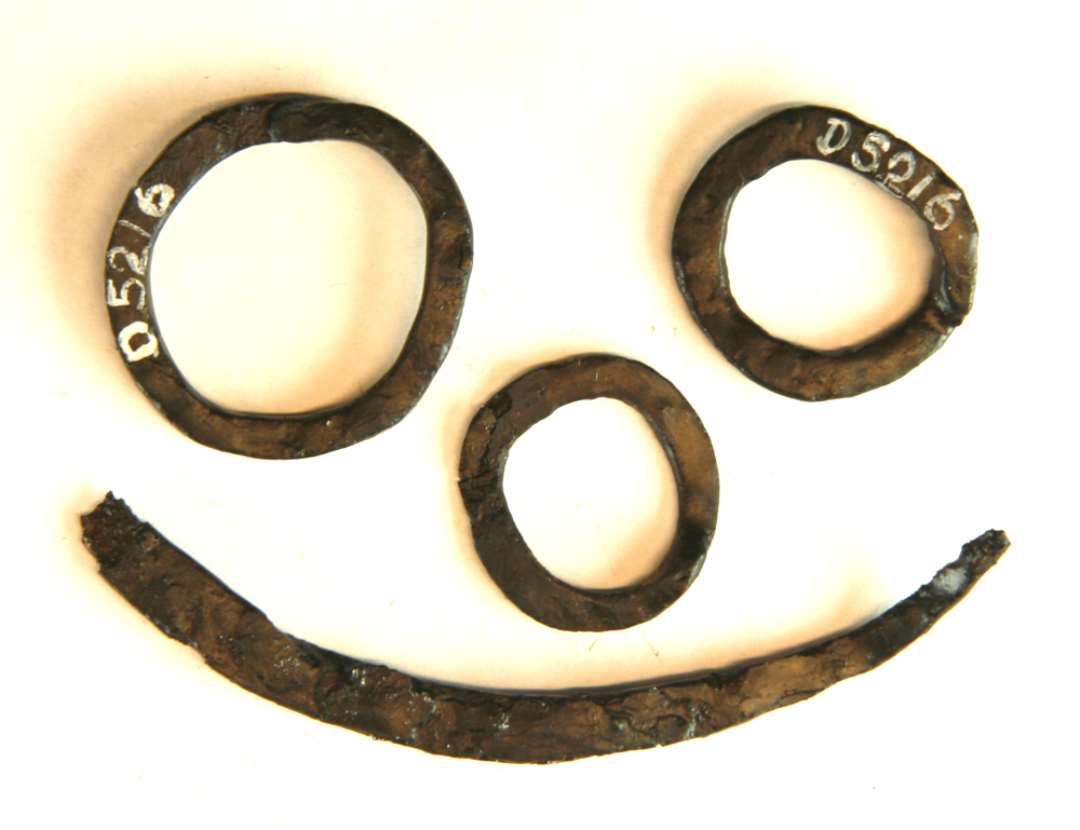 4 fragmenter af jern. 1 lang fladt krumbøjet jernbånd samhørende med  D5217 og 3 ringe af flad, sammenloddet jerntråd. Fra niv. 320. Det lange jernbånds længde ca. 8 cm. Ringenes mål 2 x 2,2 cm - 2,25 x 2,4 cm - 2,8 x 3 cm. 