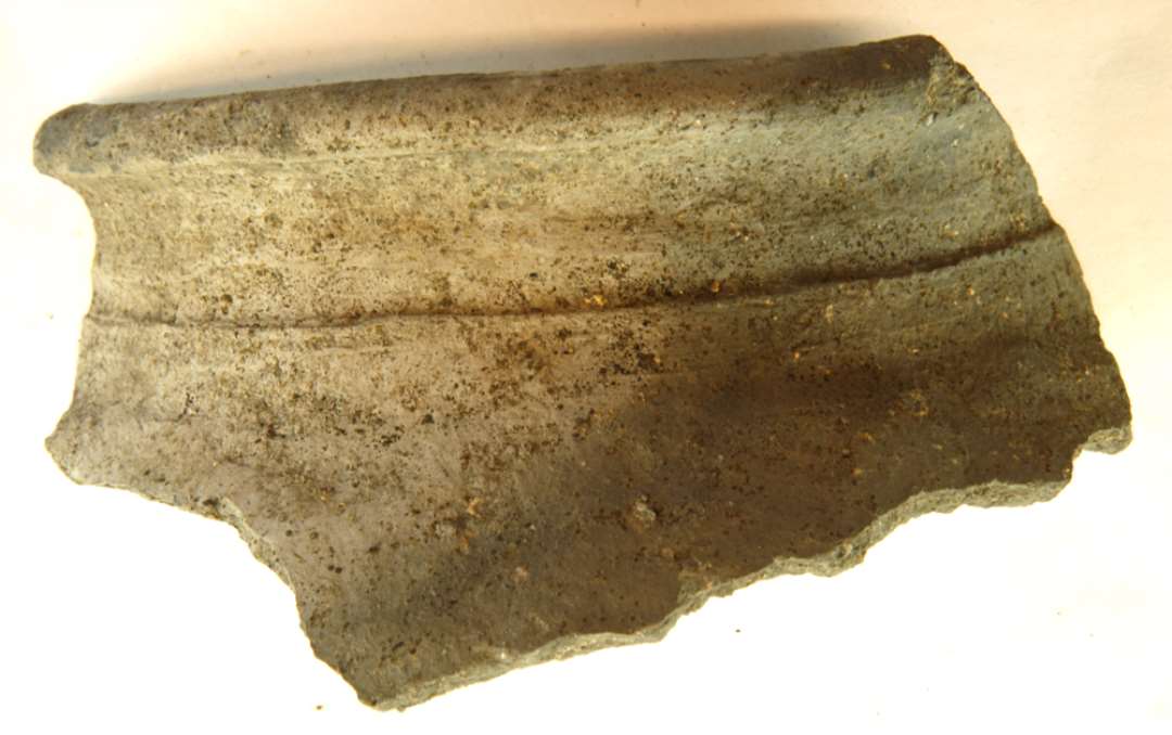 1 halsskår af grovmagret, gråbrunligt lergods fra kar med udadbøjet rand, gruppe 4.
