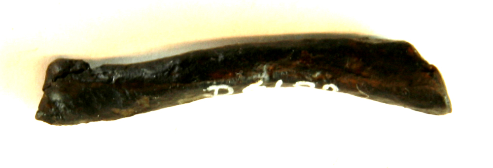 3 fragmenter af jernnagler eller søm. Heraf 1 forvreden søm eller naglestump af jern. L : 4,1 cm.