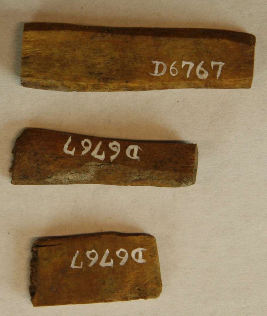 3 tildels fragmenterede forarbejder til kammellemstykker ( tandstykker ) af kronhjorttak. Længde: 2,5-4,8 cm. 