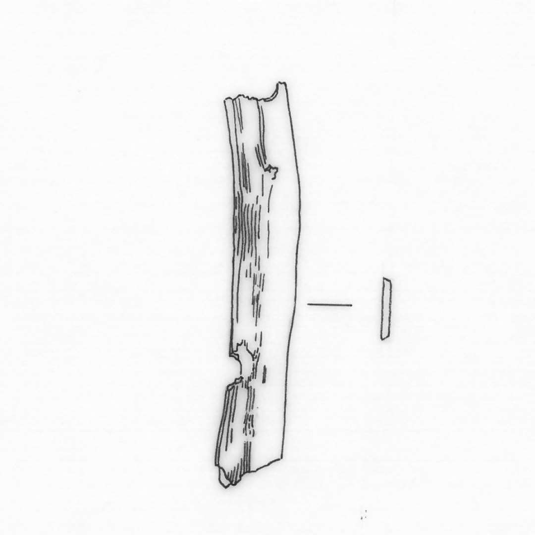 1 aflang fladt tildannet knogleflis gennemtrukket af ir. L : 3,9 cm. Br : 0,6 - 0,75. Tyk: 0,1 cm.