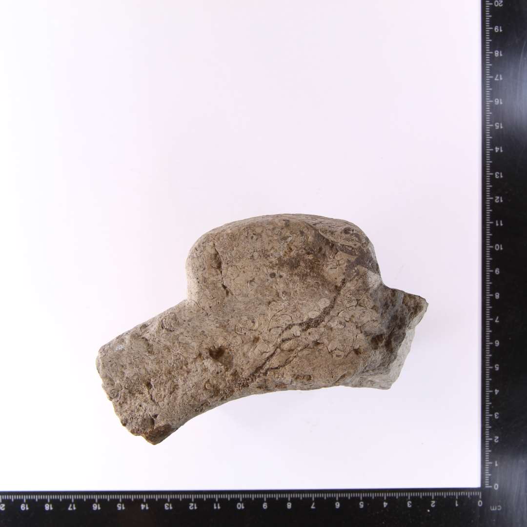 Fragment fra mundingen af morter af lysegrå kalksten, Purbeck marble, med tydeligt indhold af talløse småsnegle. På ydersiden af morteren findes en flad ribbe, der op mod mundingskanten udvider sig både i dybde og bredde til en fremstående afrundet vulst. Mundingsrandens overside er udstyret med en bred flad fure. Største højde 9,5 cm. Bredde: 10,3 cm. Tykkelse: ca. 6 cm. Vægtykkelse: ca. 3 - 3,3 cm.