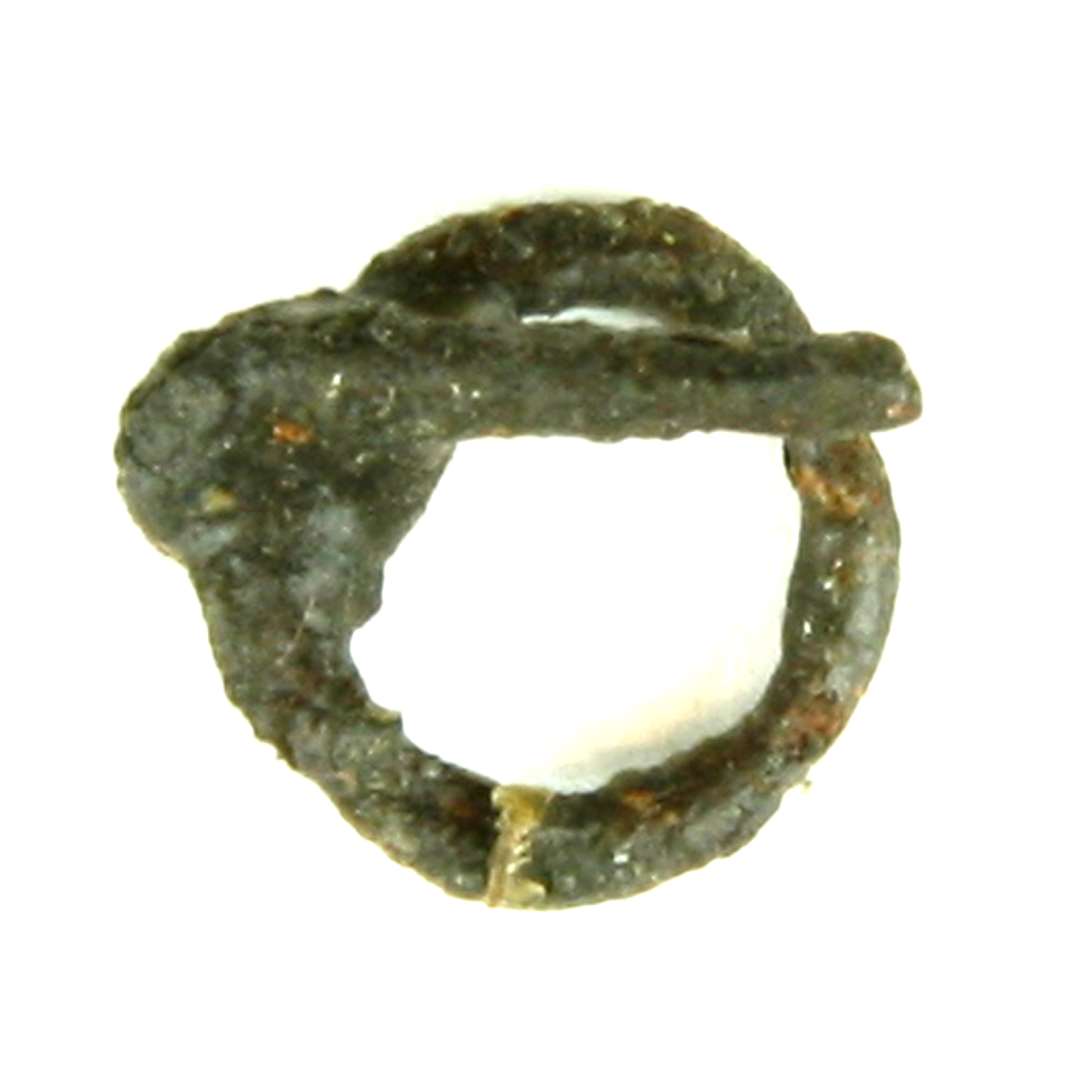 Miniature rem/ringspænde af jern i form af en cirkulær ring, ca. 1,2 cm. i diameter, fremstillet af ca. 1,5 mm tyk jerntråd. Til ringen er med et ombukket øje fastgjort en glat, lige torn ca. 1,4 cm. lang.