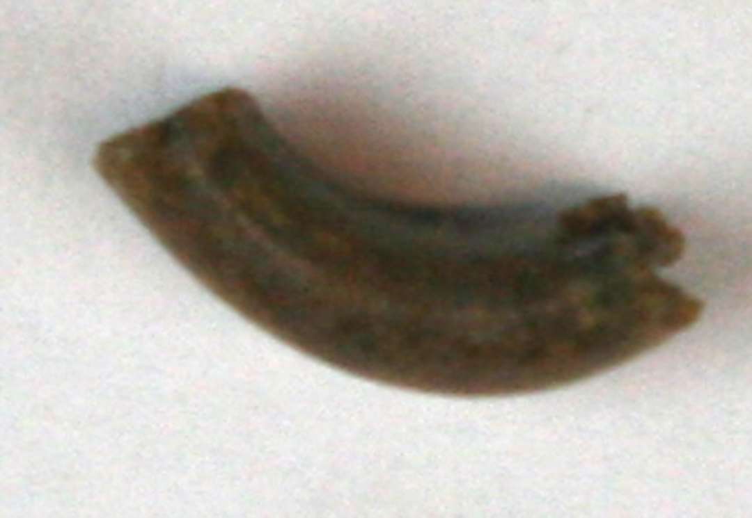 Fragment af glasring af uigennemsigtigt, brunt glas. Opr. ydre diameter: ca 1,5 cm.