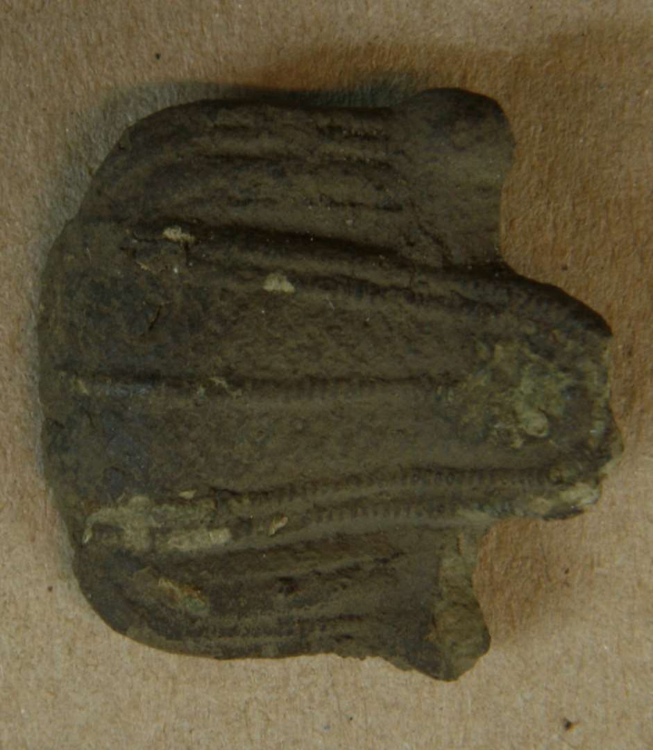 Fragment af stor næbfibel. Mål: 34x32mm