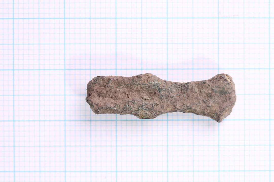 Fragment af korsformet fibel, nærmre betegnet foden med plastisk, stiliseret dyrehoved. Længde: 2,8 cm., største bredde: 0,9 cm.