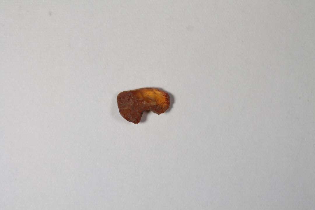 Fragment af ringformet perle. diameter: ca 1 cm.