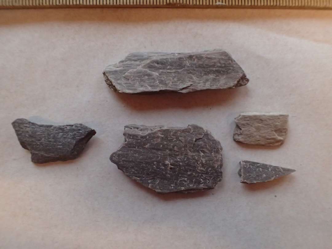 5 fragmenter af hvæssesten. Violet skifer. Mål: 2-4,7 cm.