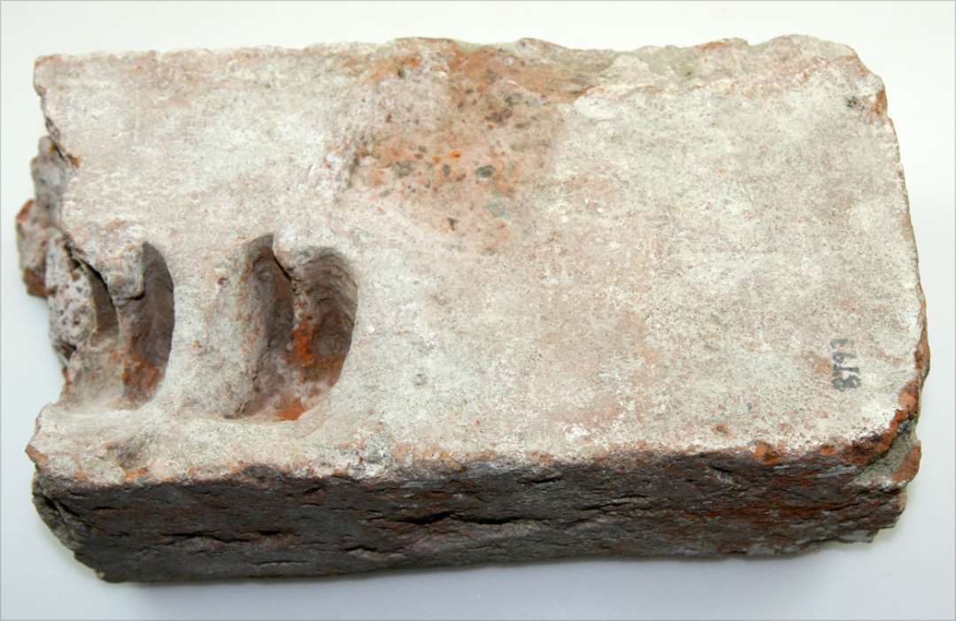 Fragment af munkesten med aftryk af to dyreklove. Mål: 28x8x14 cm.