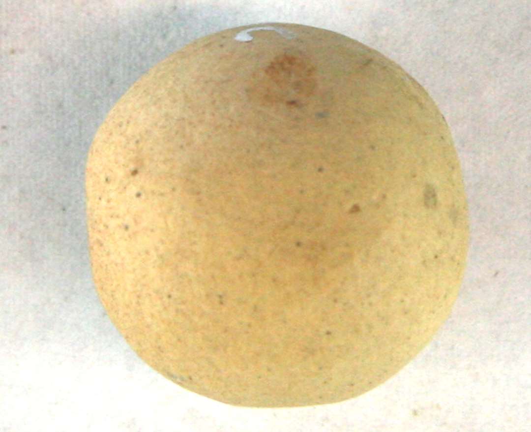 1 lerkugle af lidt uregelmæssig form og af grumsetgullig brændt lermasse. Diameter: 2,5 - 2,6 cm.