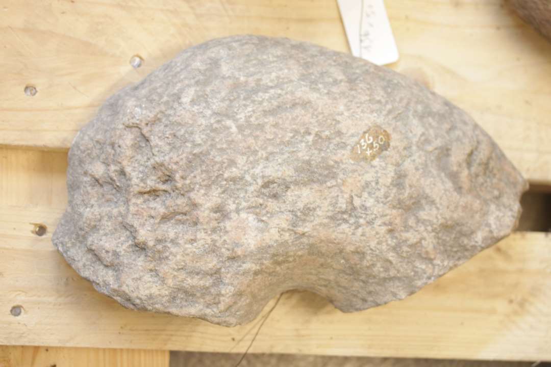 kværn - knap halvdelen af overligger bevaret - 36cm, lys grårødlig granit.