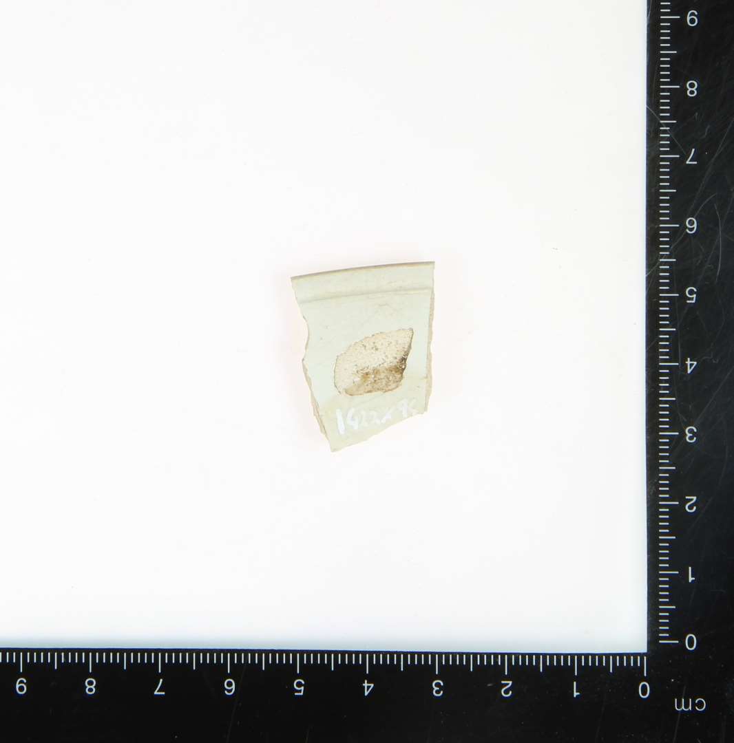 1 randskår af porcelæn (t. 0,3 cm)