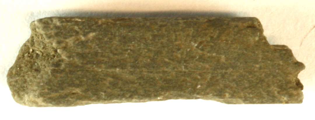Fragment af lille hvæssesten af lysegråt skifer. Længde: 21 mm.